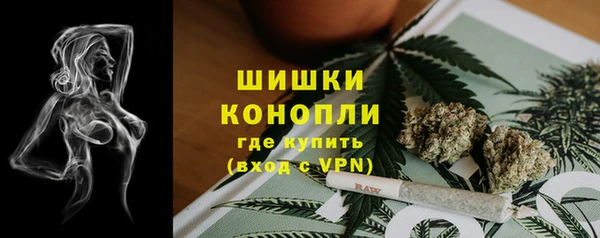 СК Мегион